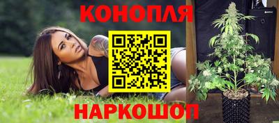 прущие крисы Коммунар