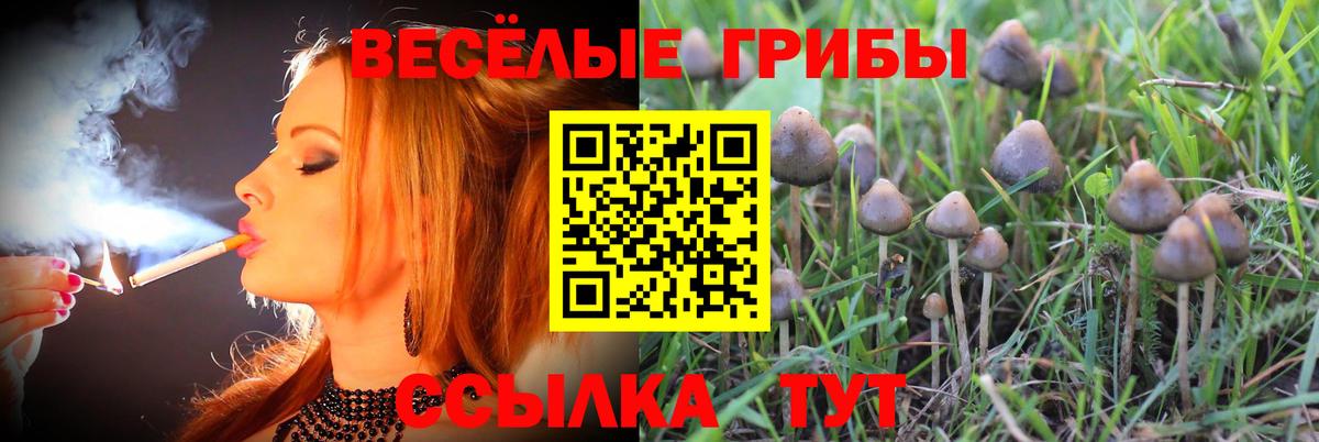 Псилоцибиновые грибы GOLDEN TEACHER  Галлюциногенные грибы мицелий  где купить наркотик  Красный Сулин  Вход с VPN 